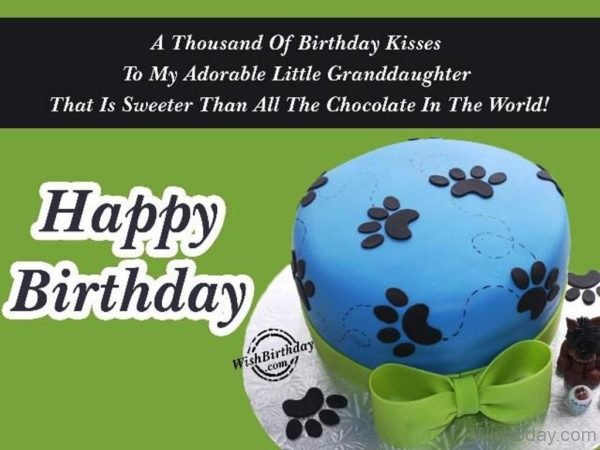 A Thousand Of Birthday Kisses To My Little Granddaughter Happy Birthday 1