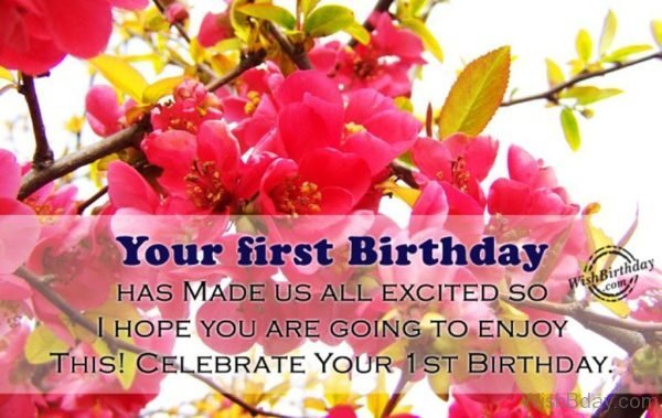 Celebrate Your First Birthday