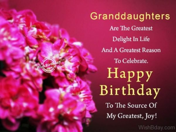 Granddaughters Are The Greatest Delight In Life – Happy Birthday