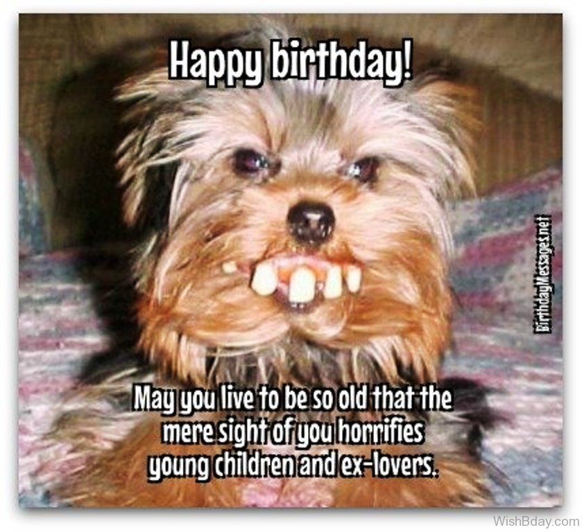 Funny Pictures Birthday Wishes