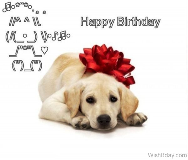 Happy Birthday Cute Dog Image