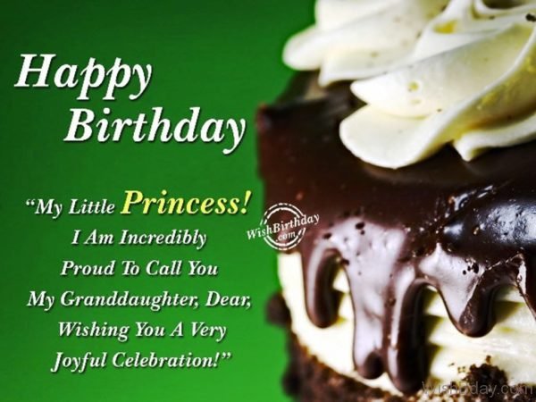 Happy Birthday My Little Princess I Am Incredibly Proud To Call You My Granddaughter 1