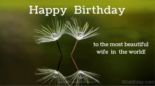 Happy Birthday To The Most Beautiful Wife In The World
