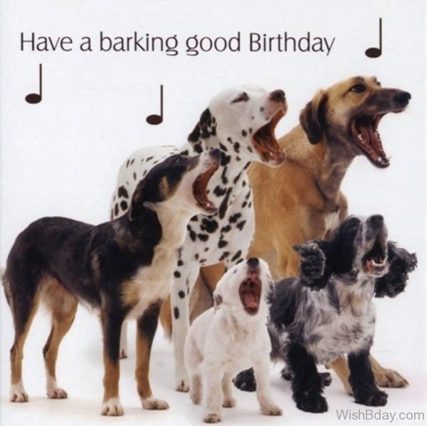 Have A Barking Good Birthday