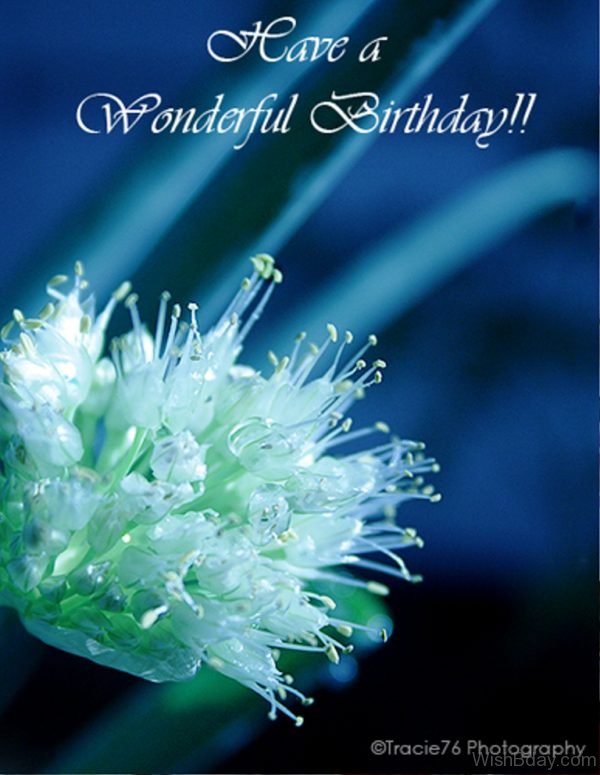 Have A Wonderful Birthday 2