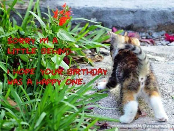 I Hope Your Birthday Was A Happy One