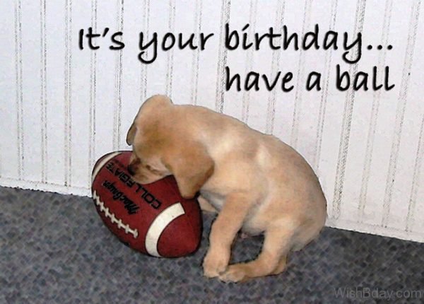 Its Your Birthday Have A Ball