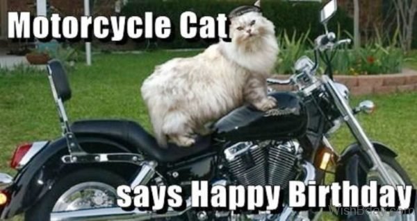 Motercycle Cat Says Happy Birthday