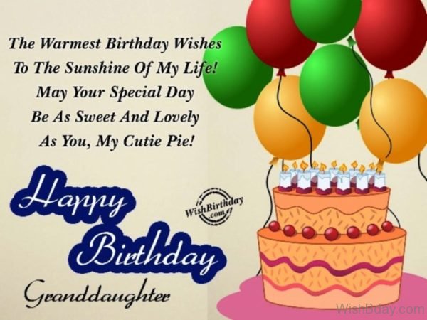 The Warmest Birthday Wishes To The Sunshine Of My Life Happy Birthday Granddaughter