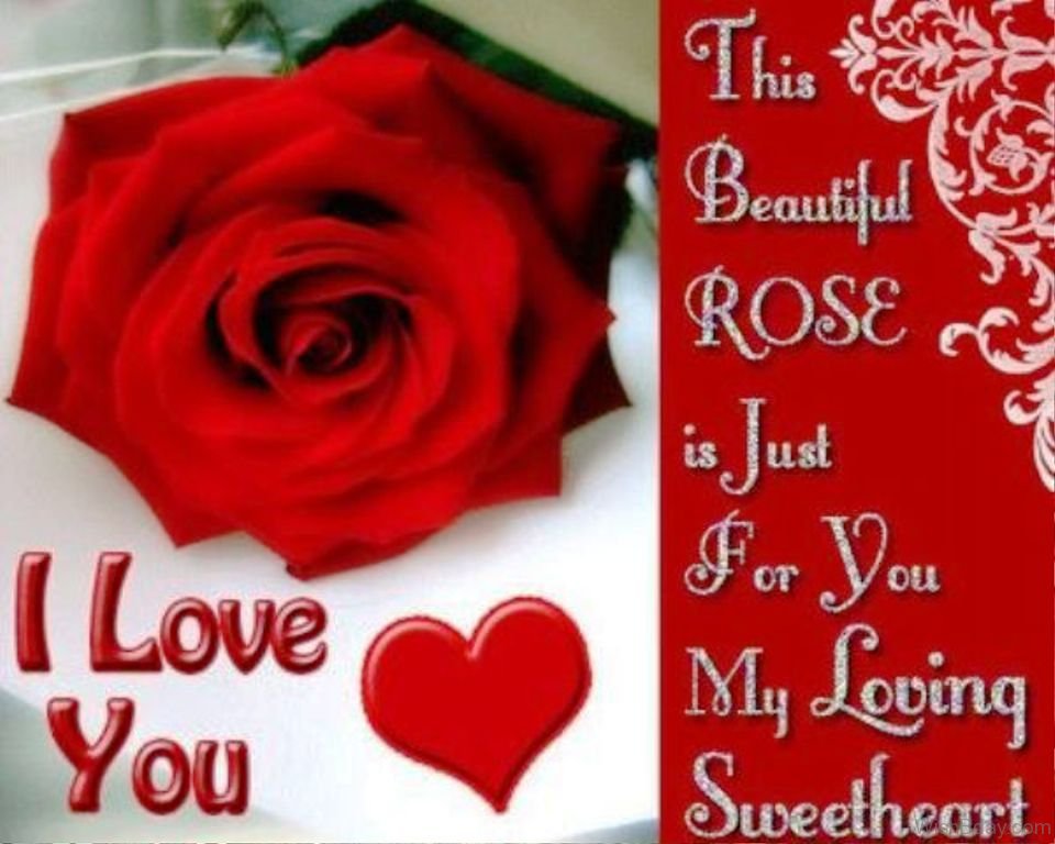 Rose is beautiful. Just for you с розами. I Love you картинки красивые. I Love you Roses. Happy Birthday my Love любимому мужчине.