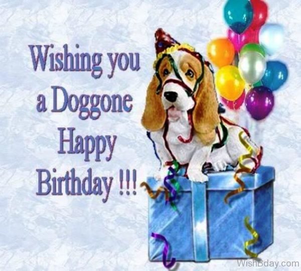 Wishing You a Doggone Happy Birthday
