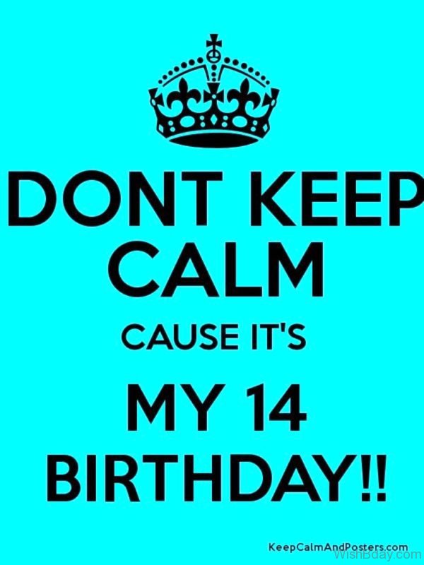 Dont Keep Calm Cause Its My Fourteenth Birthday