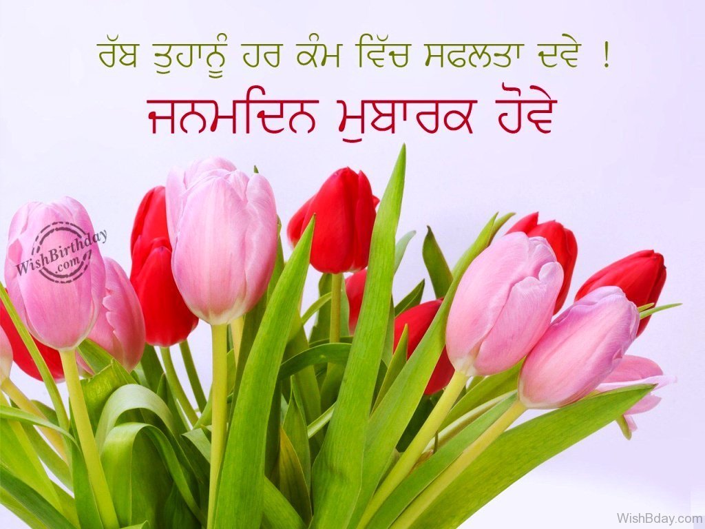 58 Punjabi Birthday Wishes, image size:1024x768